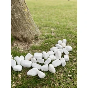 Beyaz Dolomit Taş 1 kg 4-8 cm Peyzaj Taşı Dekoratif Akvaryum Bahçe Süs Taşları Saksı Taşı