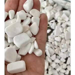 Süsleme Taşı Beyaz Dolomit Taş 1 kg 1-3 cm Akvaryum Taşı Süs Taşları Dere Taşı Bahçe Saksı Dekor Taş