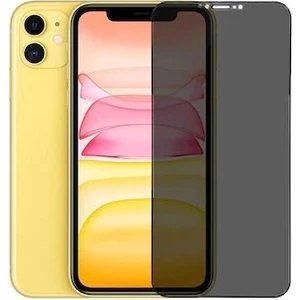 Apple iPhone 12 Mini Full-Screen Privacy Görünmez Mat  Hayalet Ekran Koruyucu Cam