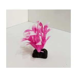 Canlı Petshop Plastik Bitki 10 cm Alternanthera