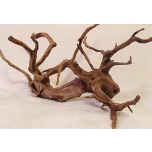Canlı Petshop Yati  Kökü (Red Moor Wood )- M - 30-35 cm