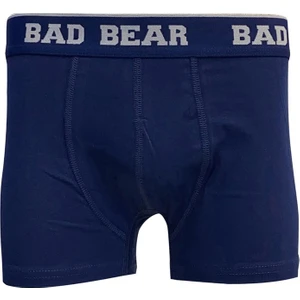 Bad Bear Boxer