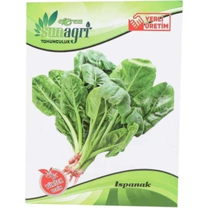 Ispanak Sebze Tohumu 1 Adet