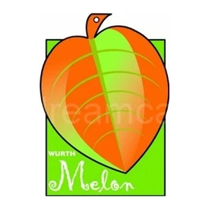 Asma Koku Melon/taze Kavun