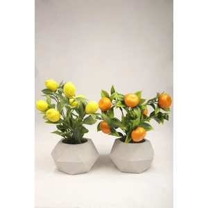Mini Hediye Yapay Bitki Geometrik Beton Saksıda Dekoratif Limon Ve Portakal Ağacı Tanzimi