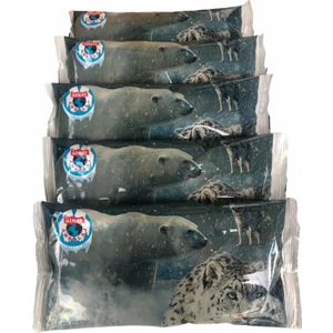 Jel Içerikli Buz Aküsü 500 gr 5 Adet