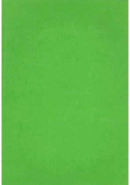 Fransız Seyes Defter A4 96 Sayfa Yeşil