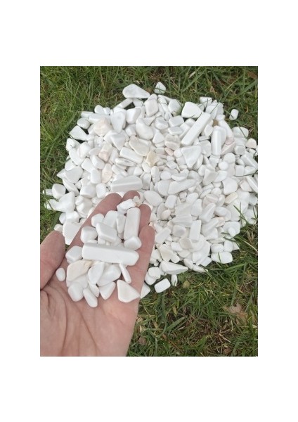 Beyaz Dolomit Taş 1 kg 1-3 cm Vazo Dibi Taşı Dekoratif Akvaryum Bahçe Süs Taşları Saksı Taşı