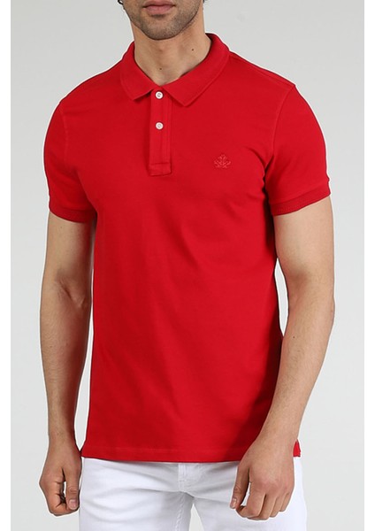 Erkek Polo Yaka T-Shirt Neo-Essential Kırmızı modelleri