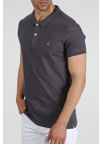 Erkek Polo Yaka T-Shirt Neo-Essential Antrasit modelleri