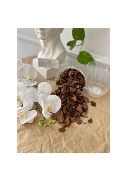 Orkide Toprağı Vitaminli Doğal Çam Kabuğu 3 Litre Besleyici Düzenleyici Toprak fiyatları