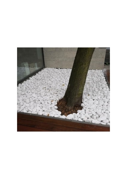 Beyaz Dolomit Taş 20 kg 4-8 cm Peyzaj Taşı Dekoratif Akvaryum Bahçe Süs Taşları Saksı Taşı fiyatları