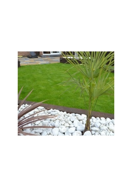 Beyaz Dolomit Taş 20 kg 4-8 cm Peyzaj Taşı Dekoratif Akvaryum Bahçe Süs Taşları Saksı Taşı modelleri