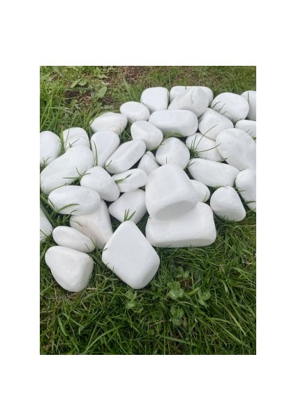 Beyaz Dolomit Taş 20 kg 4-8 cm Peyzaj Taşı Dekoratif Akvaryum Bahçe Süs Taşları Saksı Taşı fırsatları