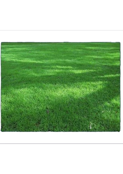 35X50 cm Açık Yeşil Rulo Çim JE00-004031