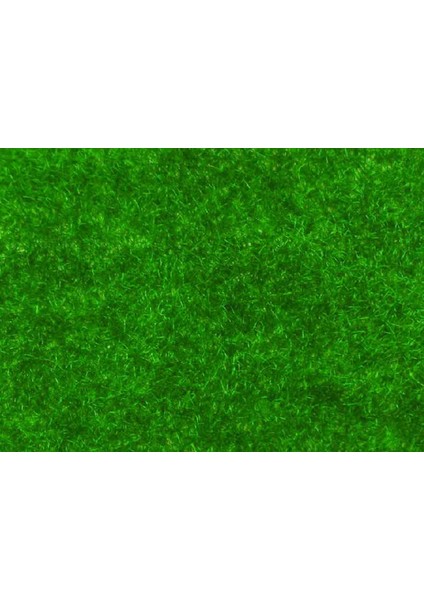 50X70 cm Rolu Koyu Yeşil Çim 003052