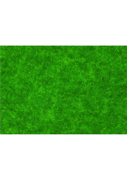 50X70 cm Rolu Açık Yeşil Çim 003051