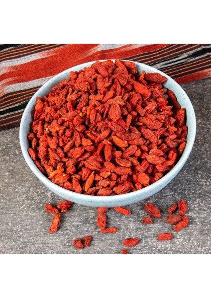 10 Adet Goji Berry Fidanı ( Nq1 ) Saksıdadır