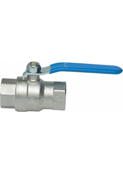 2'' Küresel Vana Tam Geçişli PN16