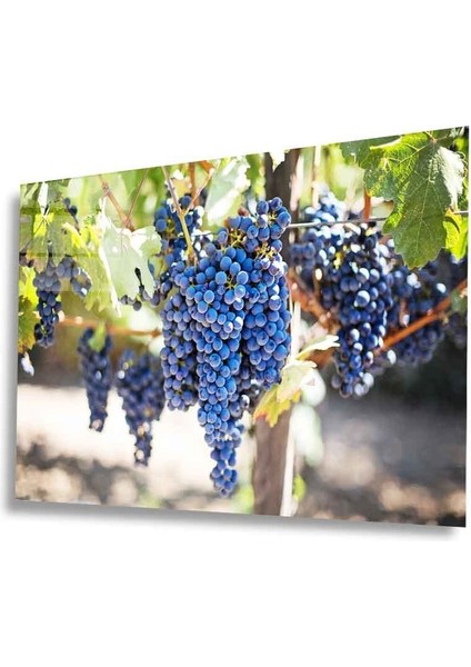 Meyveler Cam Tablo 4mm Dayanıklı Temperli Cam