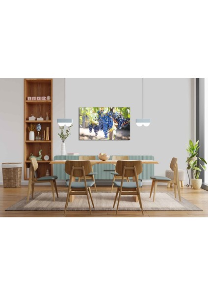 Meyveler Cam Tablo 4mm Dayanıklı Temperli Cam fiyatları