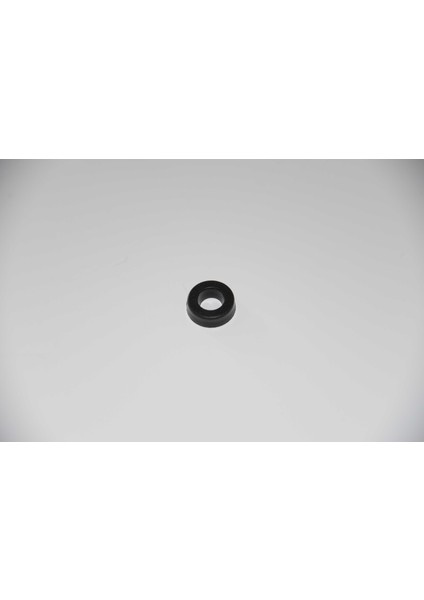 5 mm Plastik Rondela