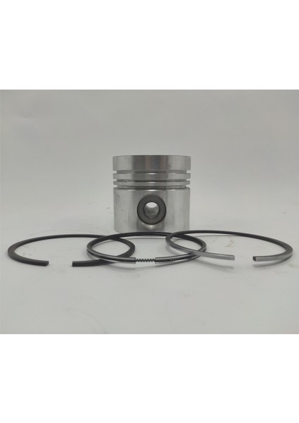 Piston + Segman Seti ( 1.00 - Çap : 101.00 mm ) : Lister/Petter/Tx - 1/Tx - 2/Tx - 3