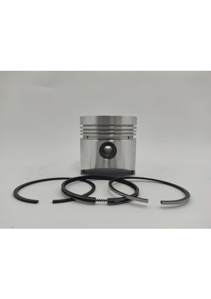Piston + Segman Seti ( 0.50 - Çap : 95.50 mm ) : Ruggerini/Rd 270/Rd 278/Rd 952