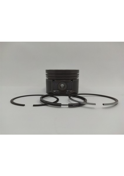 Piston + Segman Seti ( Std ) : Hatz/1D50