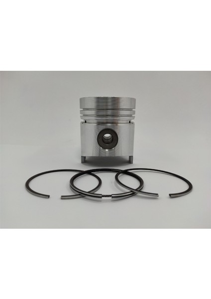 Piston + Segman Seti ( 1.00 ) : Hatz/E71/E75/Es71/Es75