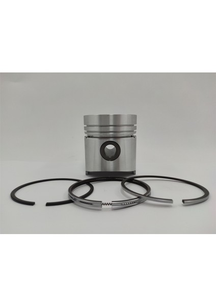 Piston + Segman Seti ( 0.50 ) : Hatz/E79
