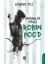 Ormanlar Kralı Robin Hood - Howard Pyle 1