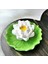 3 Boyutlu Tütsülük Lotus Çiçek, Yaprak Üstünde Nilüfer Çiçeği Silikon Kalıp K-617 1