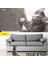 Kedi Eğitim Bandı - Mobilyalar Için Tırmalamaya Karşı Önleyici Non-Toxic 10 cm x 10 m 5