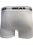 21.01.03.002-C04 Basic Erkek Boxer 2