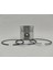 Piston + Segman Seti ( 1.00 - Çap : 101.00 mm ) : Lister/Petter/Tx - 1/Tx - 2/Tx - 3 1