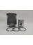 Kit ( Piston + Segman Seti + Motor Gömleği ) : Hatz/E85 1