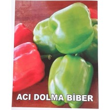 Agrodal Tarım Ata Tohumu Yöresel Doğal Acı Dolma Biberi 100 Ad Tohum