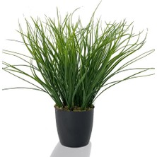 Nettenevime Yapay Çiçek Grass Saz Yapay Bitki Siyah Plastik Saksılı Dekoratif Süs Çiçeği