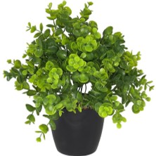 Nettenevime Yapay Çiçek Şimşir Eucalyptus Yapay Bitki Siyah Plastik Saksılı Dekoratif Süs Çiçeği