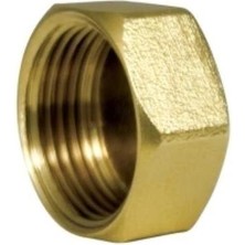 Kalde Gf Dişi Körtapa 1