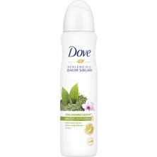 Dove Matcha Kadın Sprey Deodorant 150ml