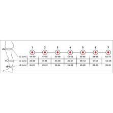 Variteks Ref 901DIZ Üstü  Çorabı (Açık Burun) - Variteks - Xl(4)