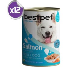 Bestpet Somonlu Soslu Konserve Yetişkin Köpek Maması 12 x 400 gr