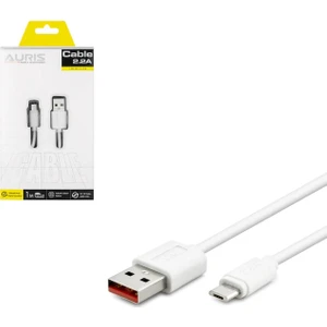 Şarj Kablosu Data Fast Micro 2.2A 1mt Aurıs ARS-CB01