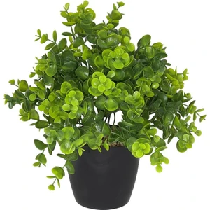 Yapay Çiçek Şimşir Eucalyptus Yapay Bitki Siyah Plastik Saksılı Dekoratif Süs Çiçeği