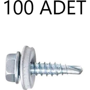 5.5X25 Akb Çatı Vidası 100LÜ Paket
