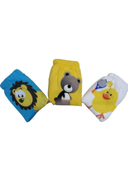 3 Lü Erkek Çocuk Alıştırma Külodu modelleri