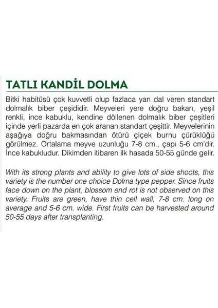 Ata Tohumu Tatlı Kandil Dolma Biberi 100 Adet Tohum