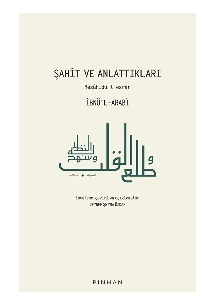 Şahit ve Anlattıkları - Zeynep Şeyma Özkan